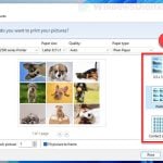 Print Multiple Photos on One Page Windows 11