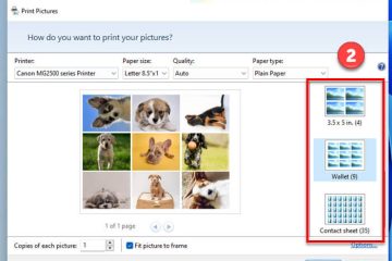 Print Multiple Photos on One Page Windows 11