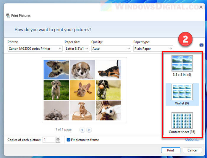 Print Multiple Photos on One Page Windows 11