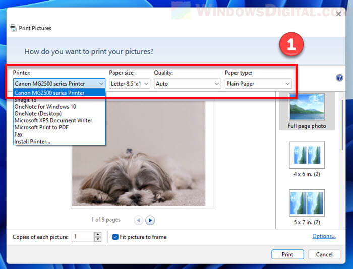 Print pictures Windows 11