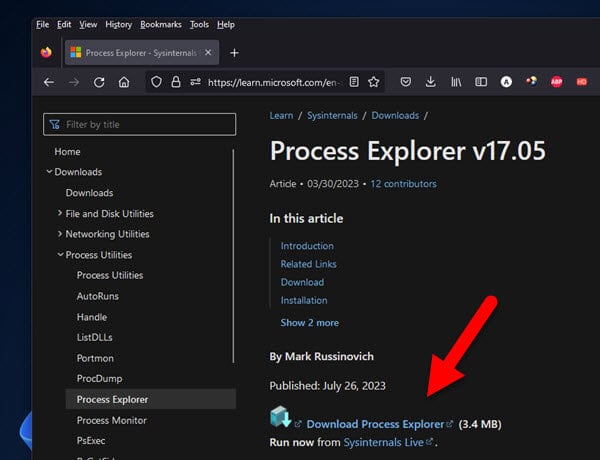 Process Explorer for Windows 11