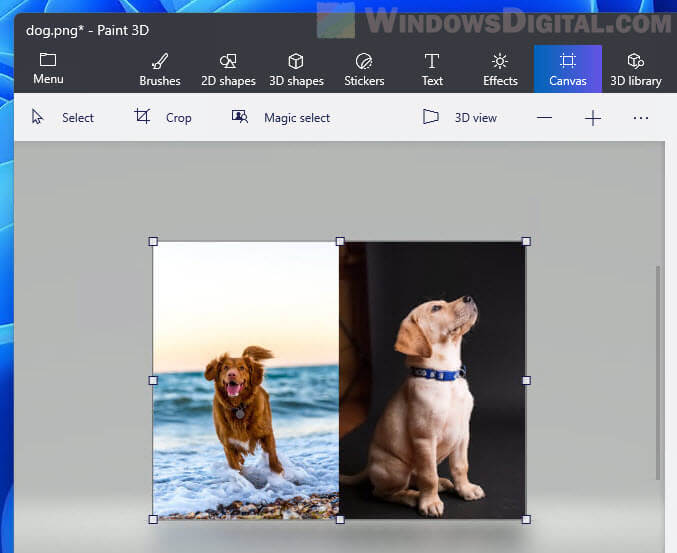 Put two pictures side by side Windows 11