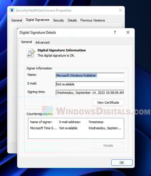 SecurityHealthSystray.exe virus