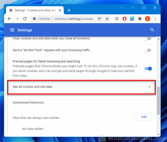 See all cookies and site data Chrome