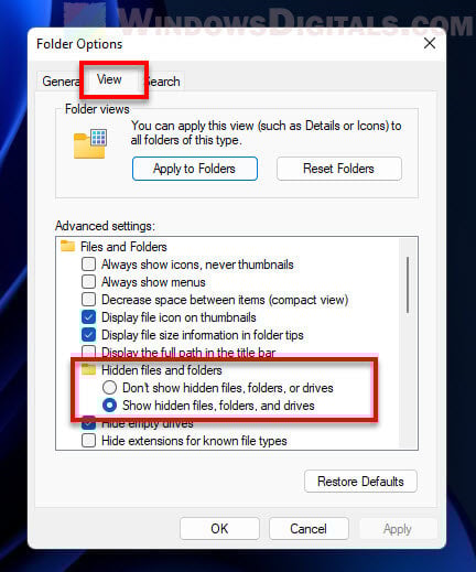 Show hidden files and folders Windows 11