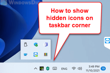Show hidden icons Taskbar Windows 11
