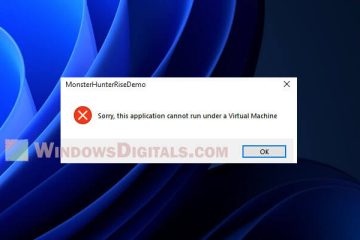 Sorry this application cannot run under a Virtual Machine Windows 11