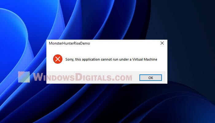 Sorry this application cannot run under a Virtual Machine Windows 11