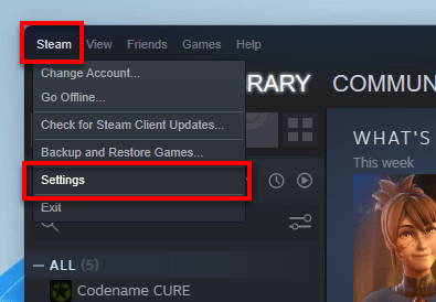 Steam Settings