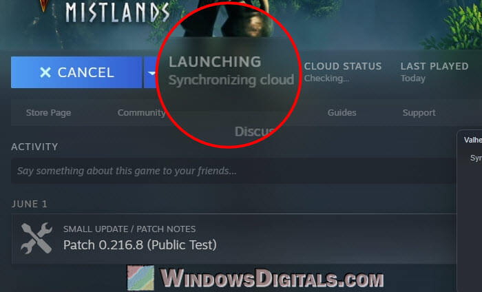 Steam synchronizing cloud forever