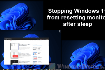 Stopping Windows 11 from Resetting Monitor After Sleep