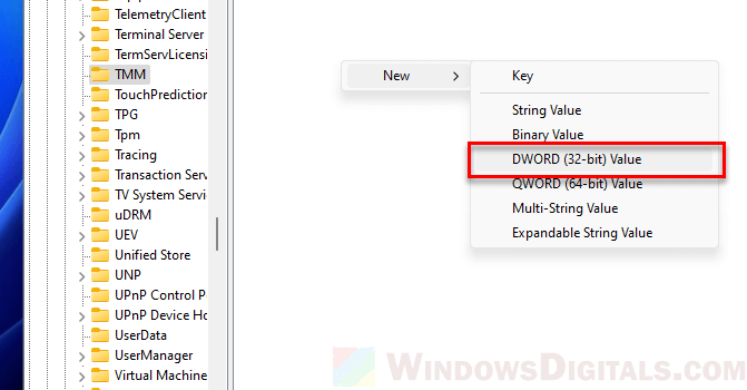 TMM UseIViewHelper DWORD value Windows 11 Registry