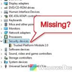 TPM 2.0 Enabled in BIOS but Not Showing in Device Manager