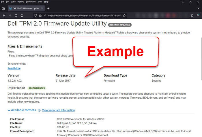 TPM 2.0 Secure Boot BIOS Firmware update
