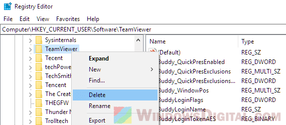 Delete TeamViewer Registry