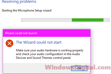 The Wizard Could Not Start Microphone in Windows 10