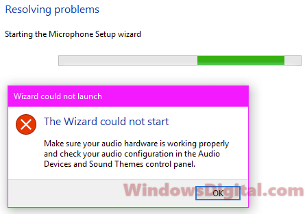 The Wizard Could Not Start Microphone Windows 10/11