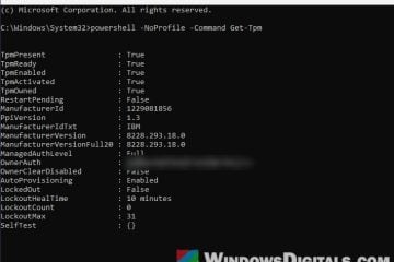 The dictionary attack mitigation is triggered Windows Hello PIN Error