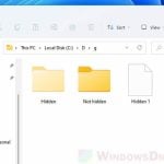 Unhide hidden files or folders Windows 11