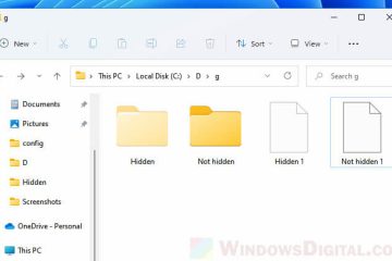 Unhide hidden files or folders Windows 11