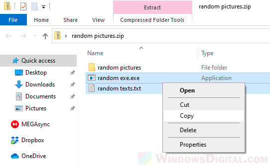 Unzip uncompress certain zip File Folder Windows 10