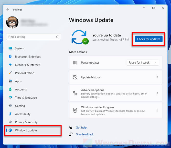 Update DirectX 12 via Windows 11 Update
