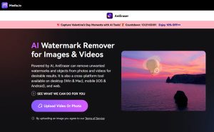 Tips for Removing Mosaic from a Picture or Video