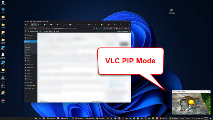 VLC Picture in Picture Windows 11 10