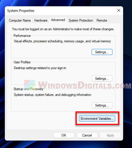 View Environment Variables Windows 11