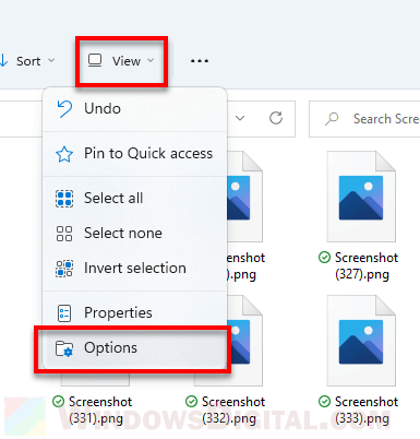 Opsi tampilan Windows 11 File Explorer