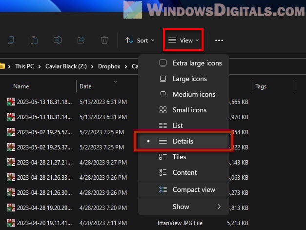 View Photo in Details File Explorer