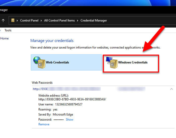 Web and Windows 11 Credentials