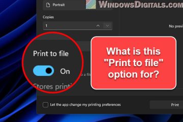What does Print to File mean