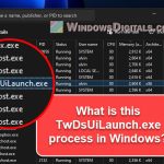 What does TwDsUiLaunch.exe do