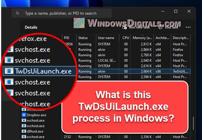 What does TwDsUiLaunch.exe do
