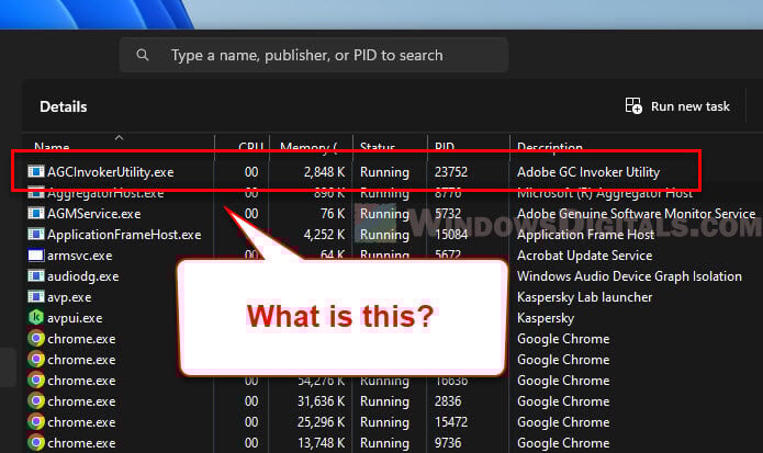 What is AGCInvokerUtility on Mac or Windows Startup
