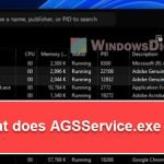 What is AGSService.exe