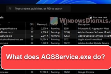 What is AGSService.exe