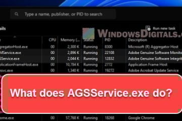 What is AGSService.exe