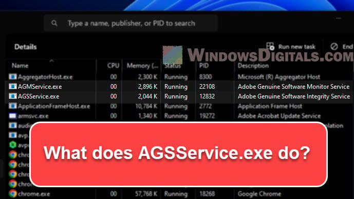 What is AGSService.exe