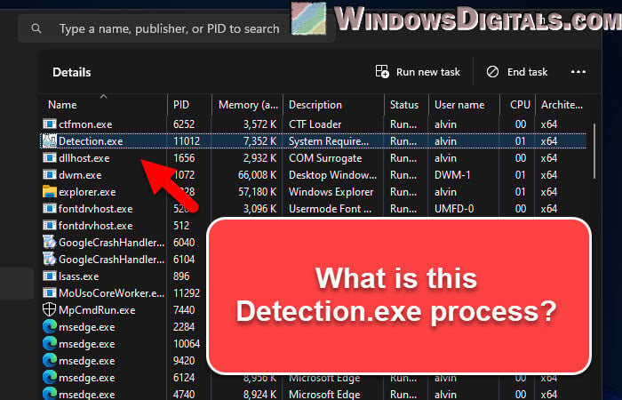 What is Detection.exe by Husdawg