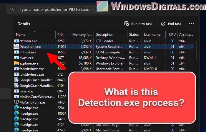 What is Detection.exe by Husdawg