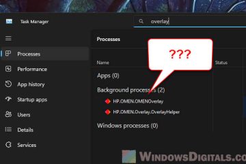 What is HP.OMEN.Overlay.OverlayHelper