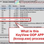 What is KeyView OOP APP (kvoop.exe)