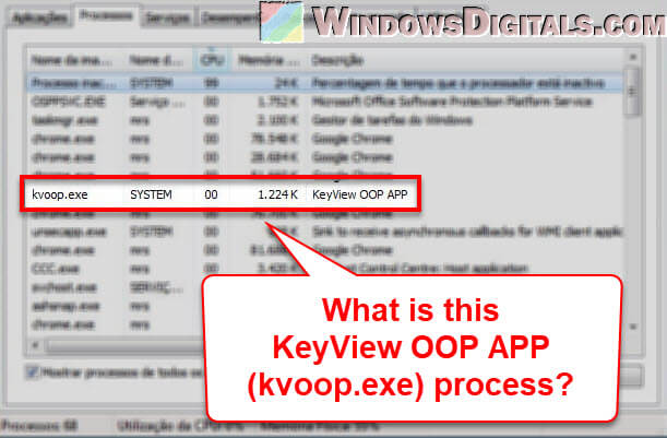 What is KeyView OOP APP (kvoop.exe)