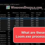 What is Loom.exe, is it Malware, How to Uninstall it