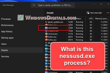 What is Nessusd.exe
