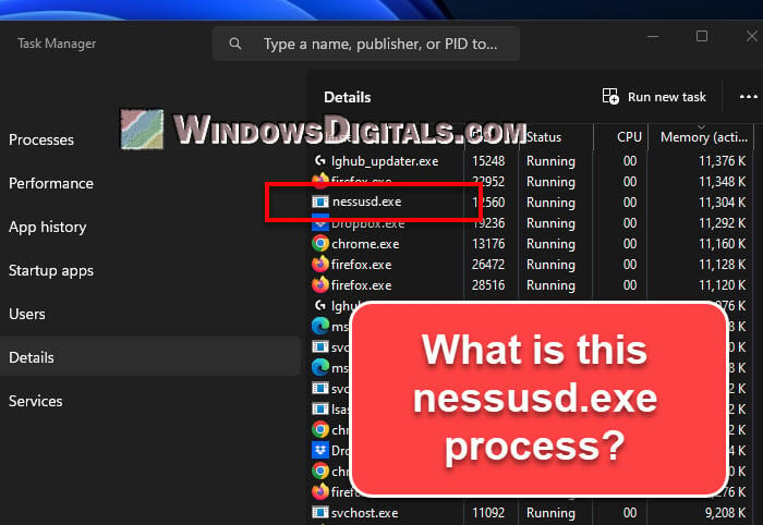 What is Nessusd.exe