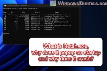 What is Netsh.exe and its Popup and Crashing in Windows 11