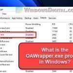 What is OAWrapper.exe